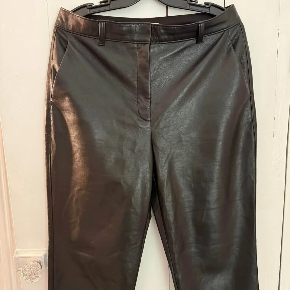 Aritzia Babaton Command vegan leather pants, black, size 12 image indicator(4)