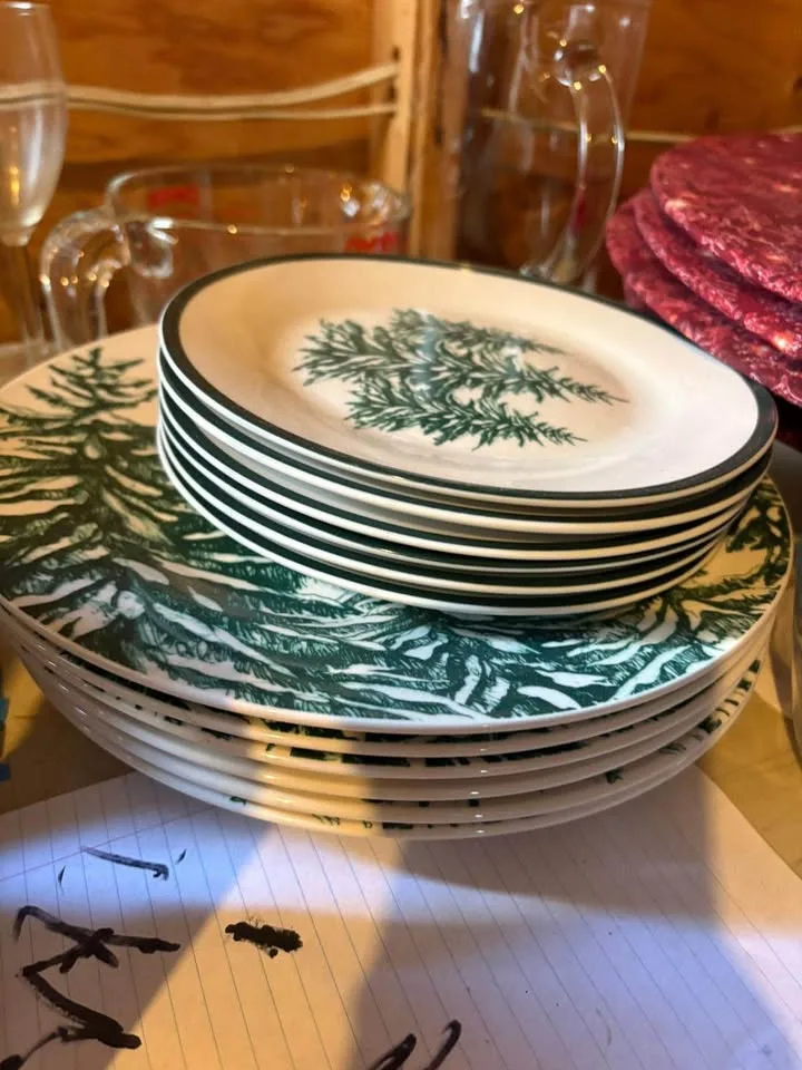 Dishes image indicator(2)