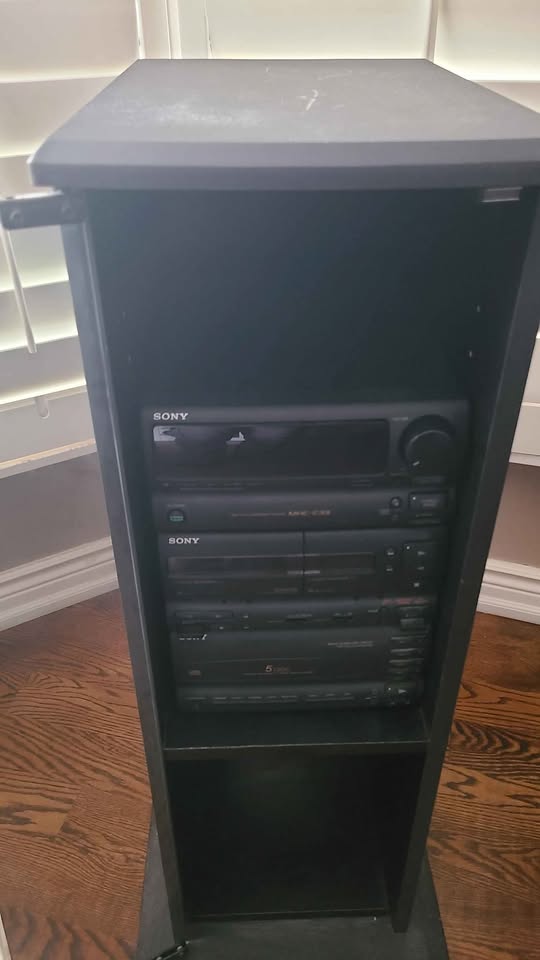 Stereo Shelving Cabinet with Optional Sony Receiver - photo 4