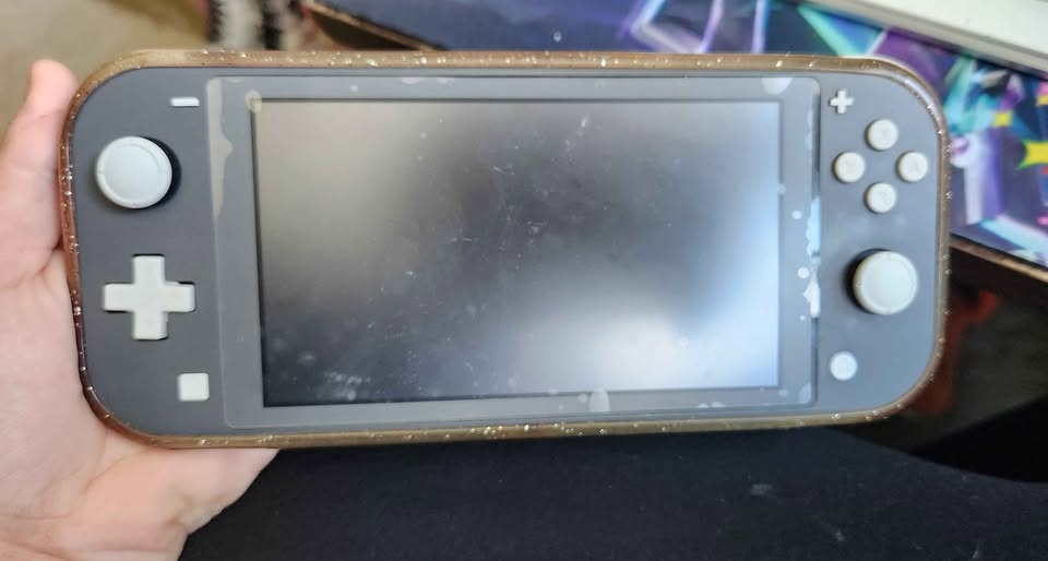Switch lite
