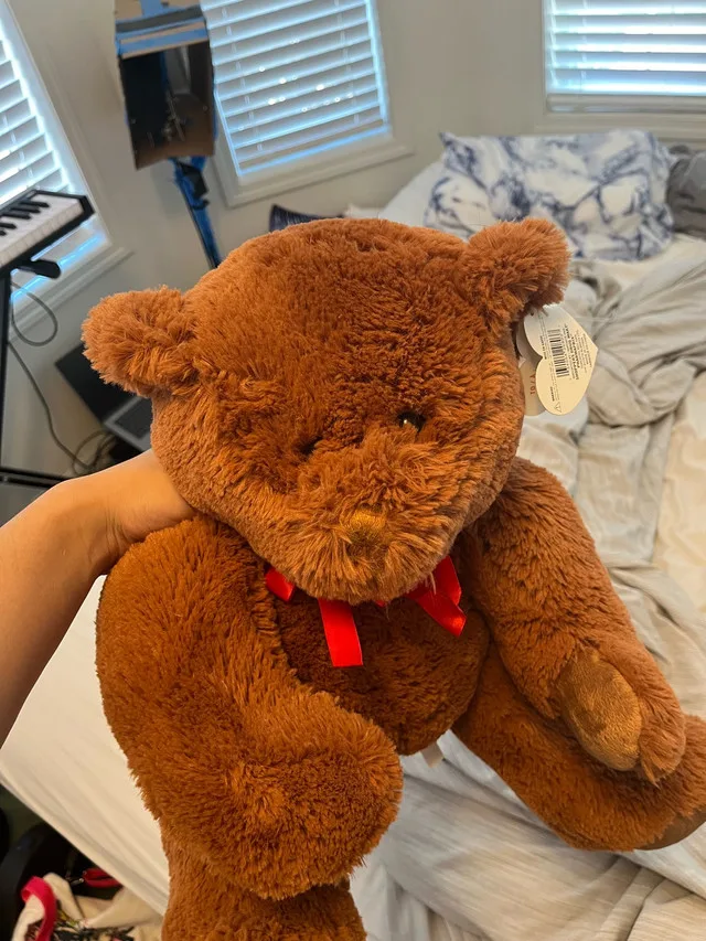 Teddy Bear (FREE) image indicator(2)