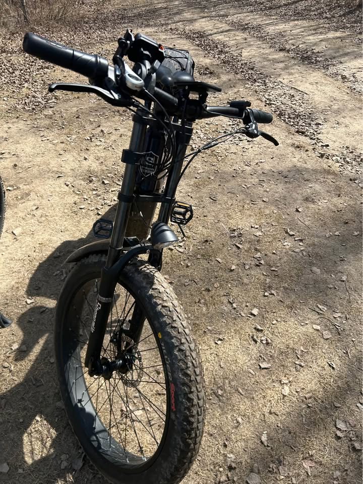 Shengmilo EBIKE - photo 3