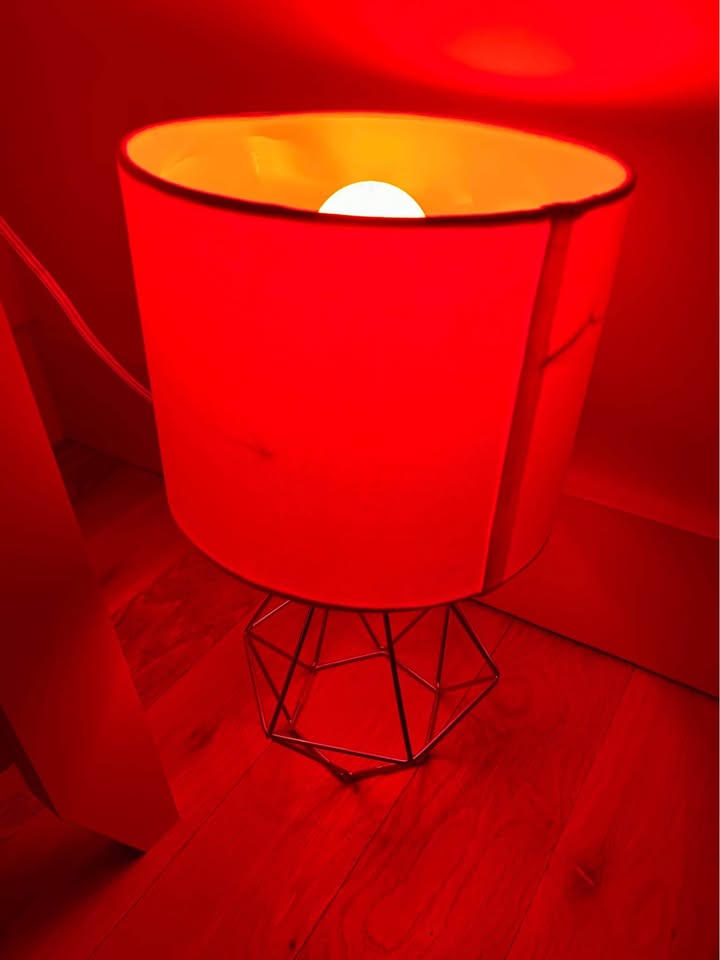 Lamp with Alexa Smart Bulb - MUST GO BY 11/2 - photo 4
