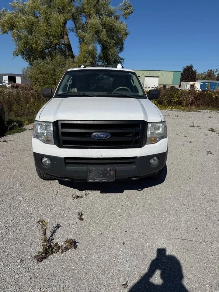2010 Ford Expedition image indicator(2)