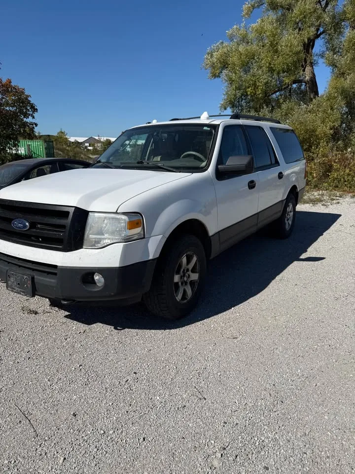 2010 Ford Expedition image indicator(3)