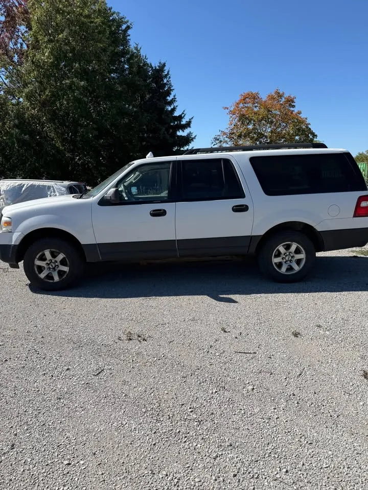 2010 Ford Expedition image indicator(4)