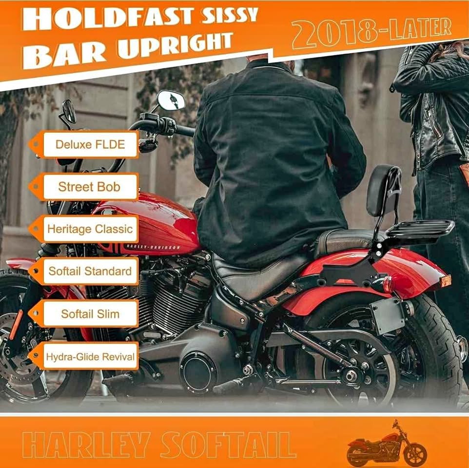 Eumti Holdfast Sissy Bar