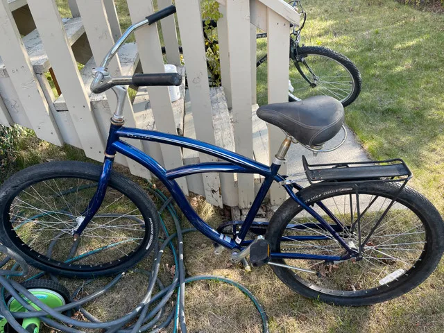 big fat tire lazy bike thumbnail