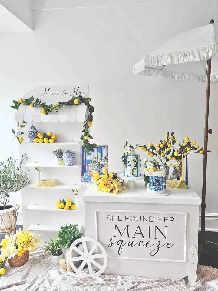 CART + WALL + UMBRELLA DIY DECOR KIT RENTAL image indicator(7)