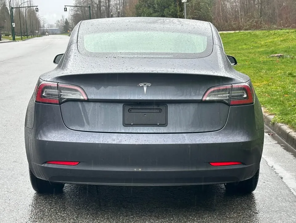 2019 Tesla Model 3 image indicator(9)