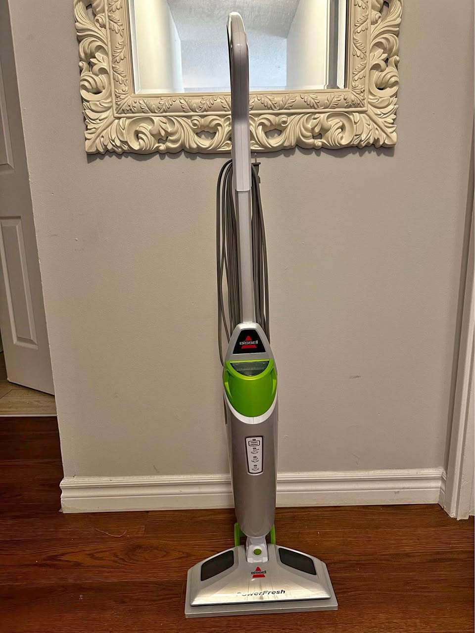 Bissel steam cleaner