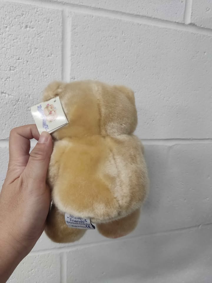 Forever Friendship bear with heart - photo 2