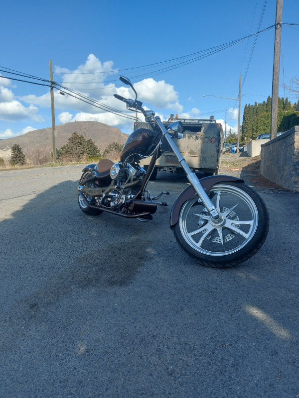 2020 U-Built Harley Davidson Inspired Chopper - photo 3