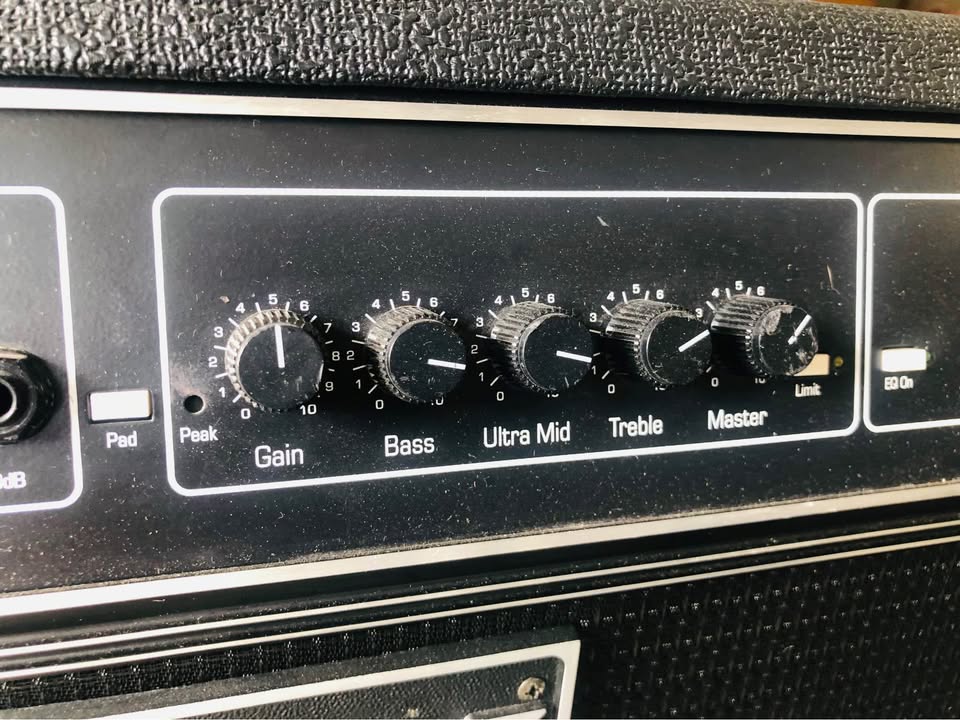 Ampeg Head SVT 350 - photo 2