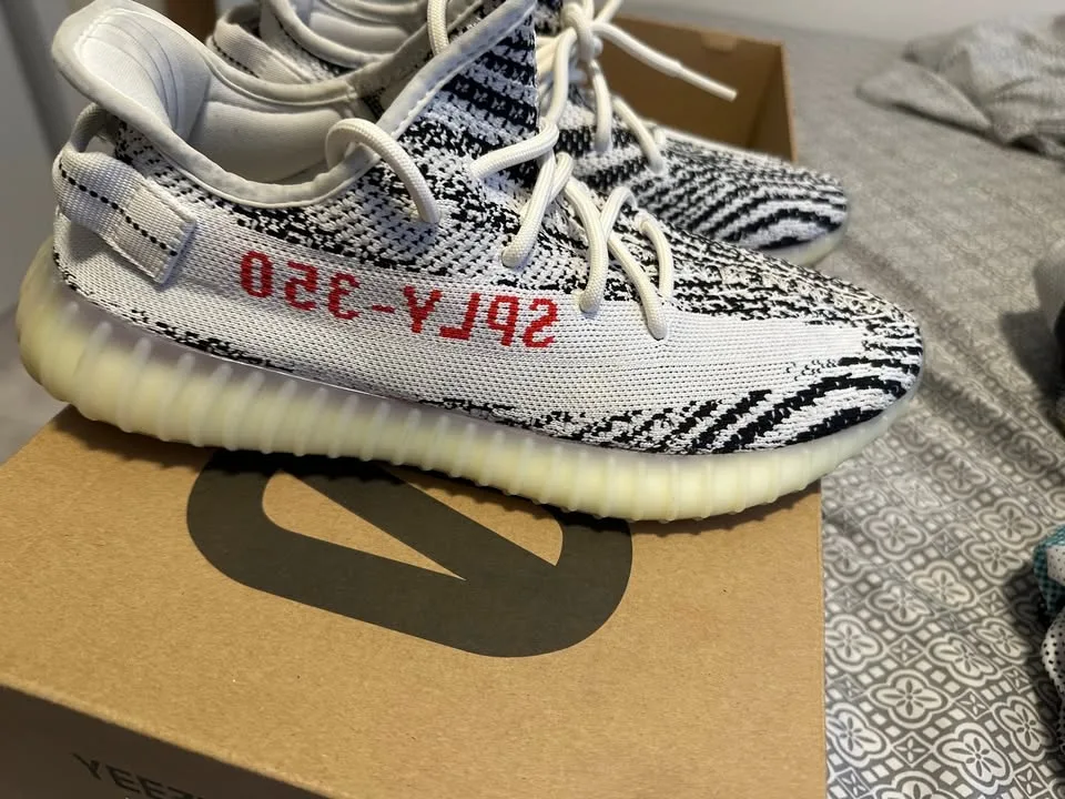 Yeezy 350 v2 zebra image indicator(3)