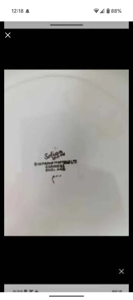 Collectable Plate- Ambassador Ware Athlone Pattern # 606 image indicator(2)