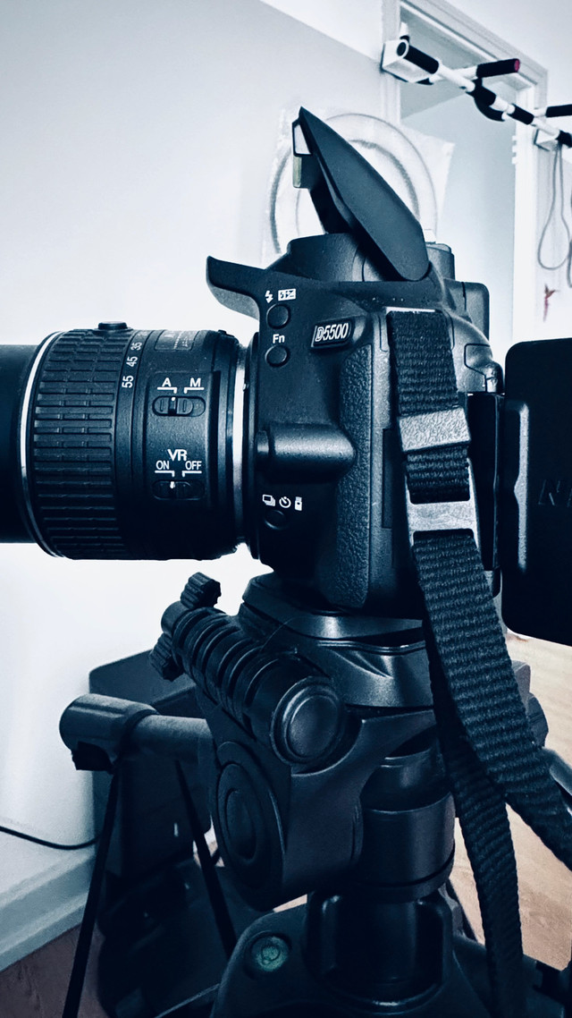 Nikon D5500