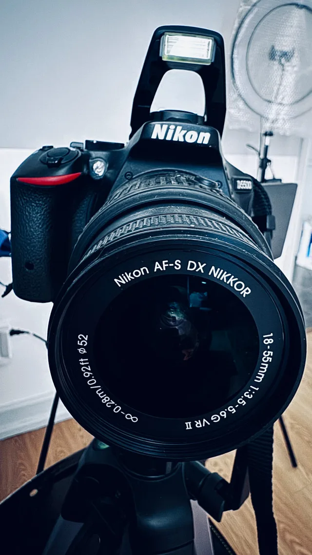 Nikon D5500 image indicator(2)