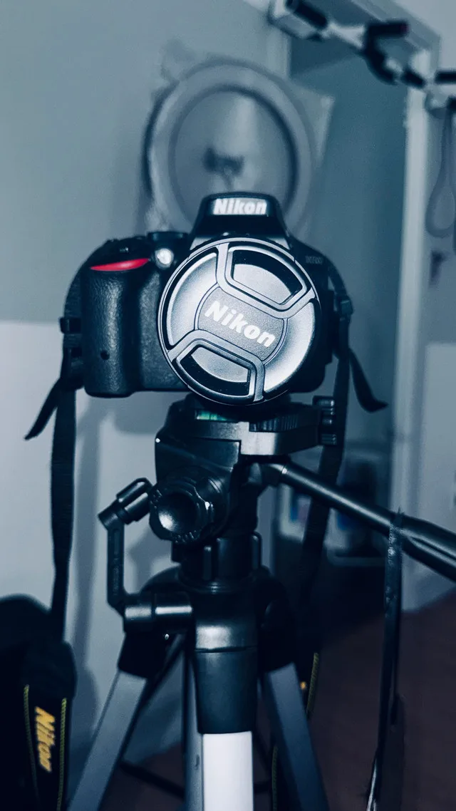 Nikon D5500 image indicator(3)