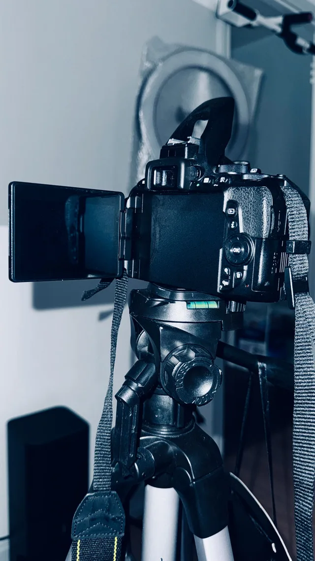 Nikon D5500 image indicator(4)