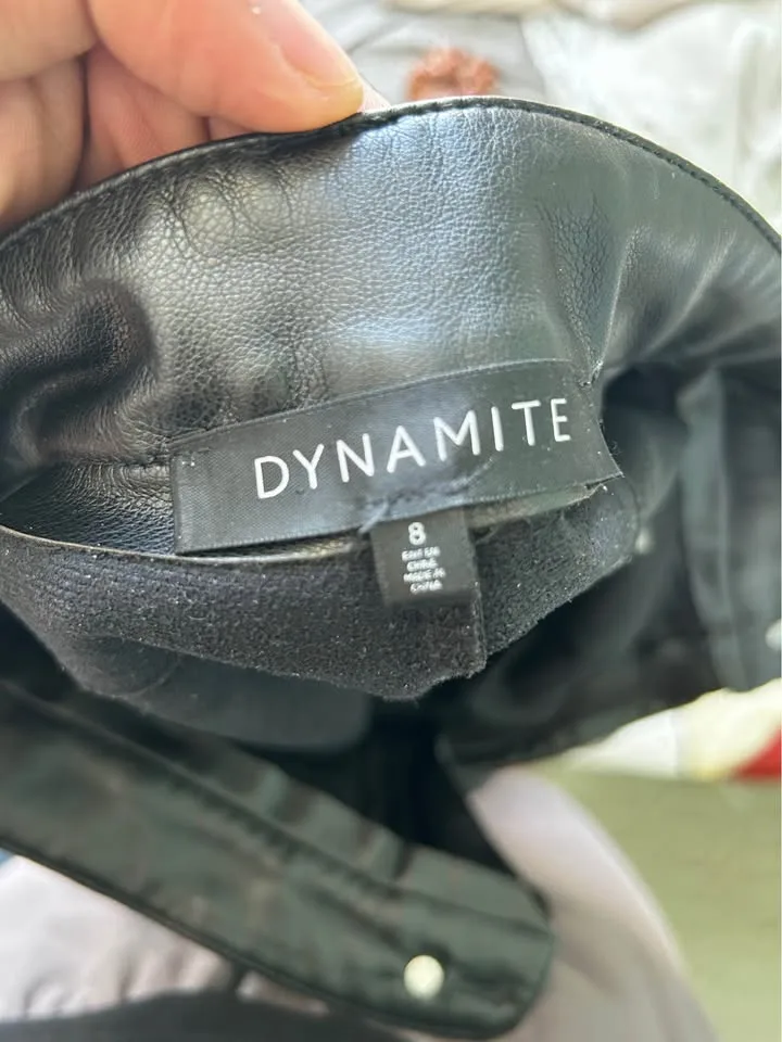 Dynamite leather pants image indicator(4)