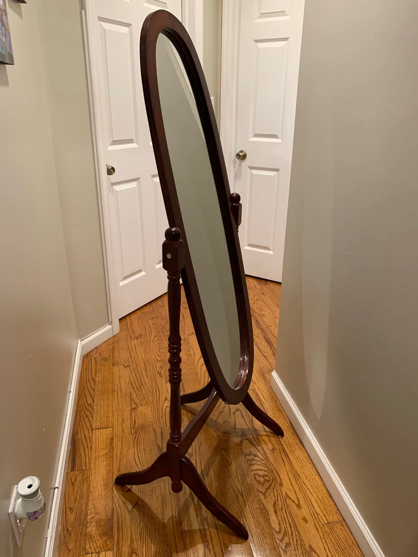 Mirror image indicator(2)