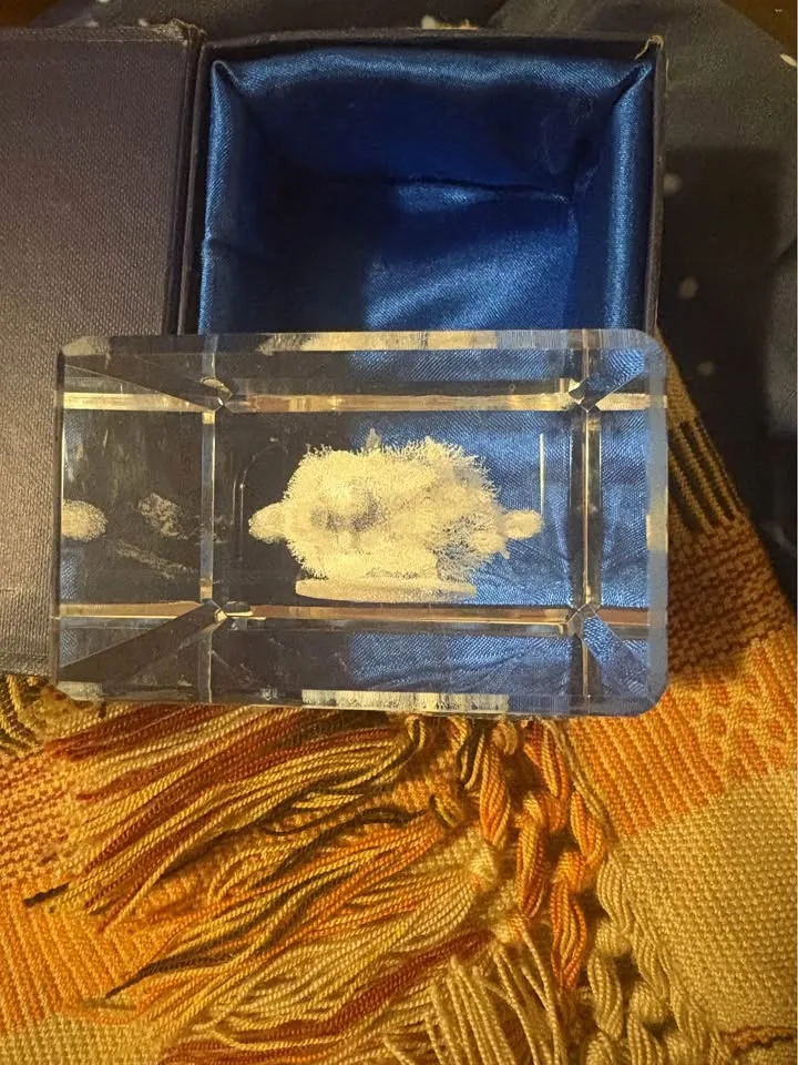 Crystal Wolf 3D Laser etched image indicator(3)