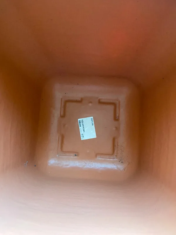 Big plant pot image indicator(5)