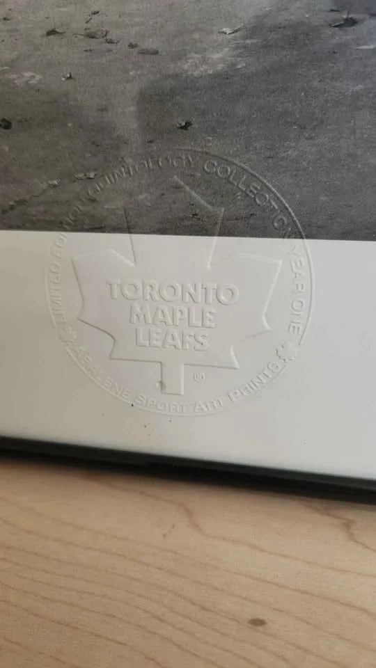 Toronto maple leafs Pat's Garage image indicator(7)