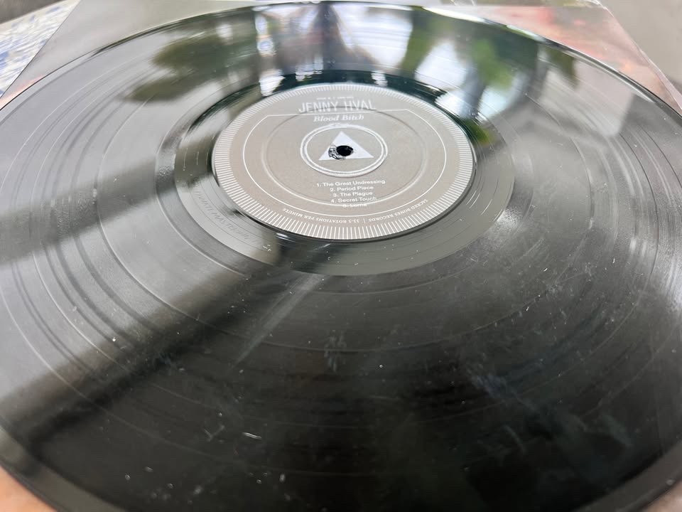 Vinyl Records - photo 5