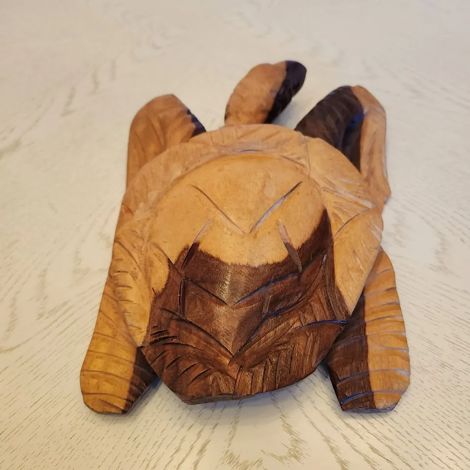 Large Carved Wood Turtle from Belize image indicator(4)