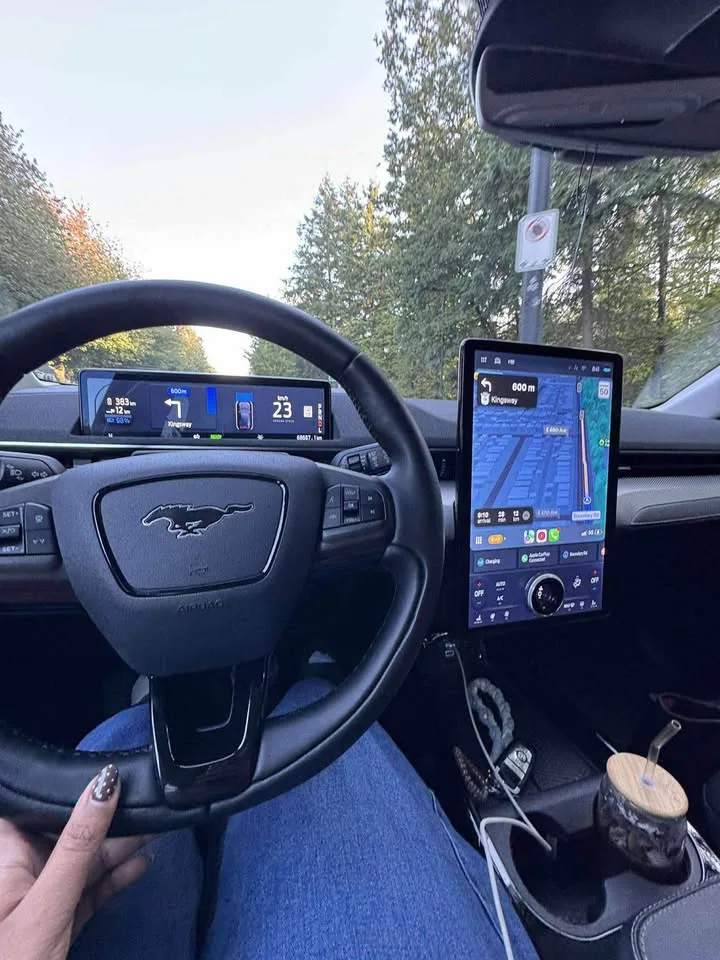 2022 Ford Mustang MACH-E image indicator(3)