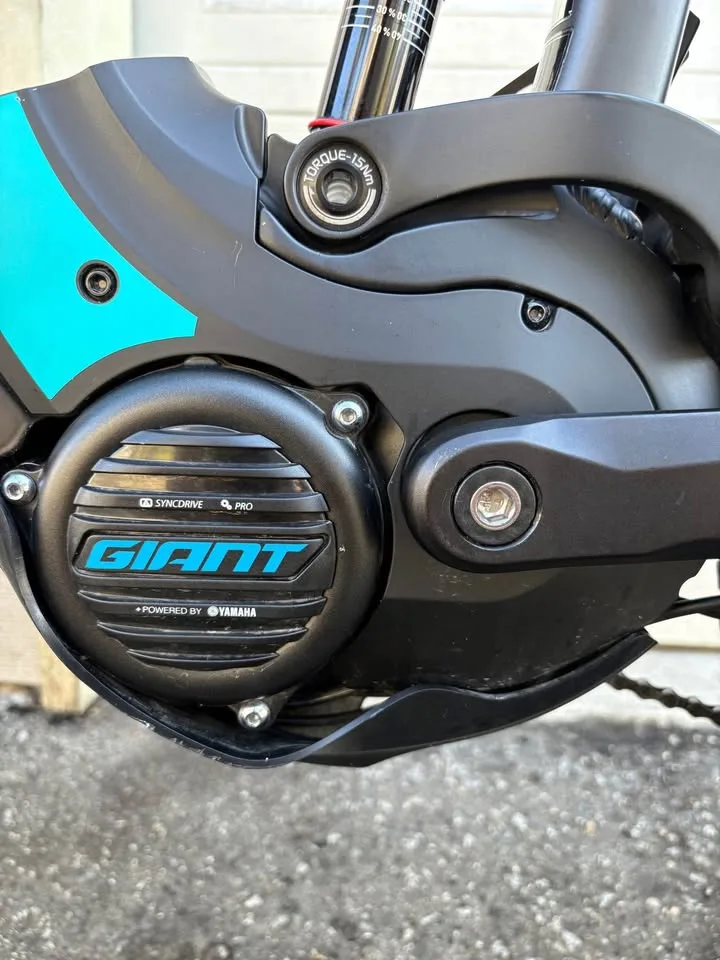 Giant Full-E+ 1 SX Pro image indicator(6)