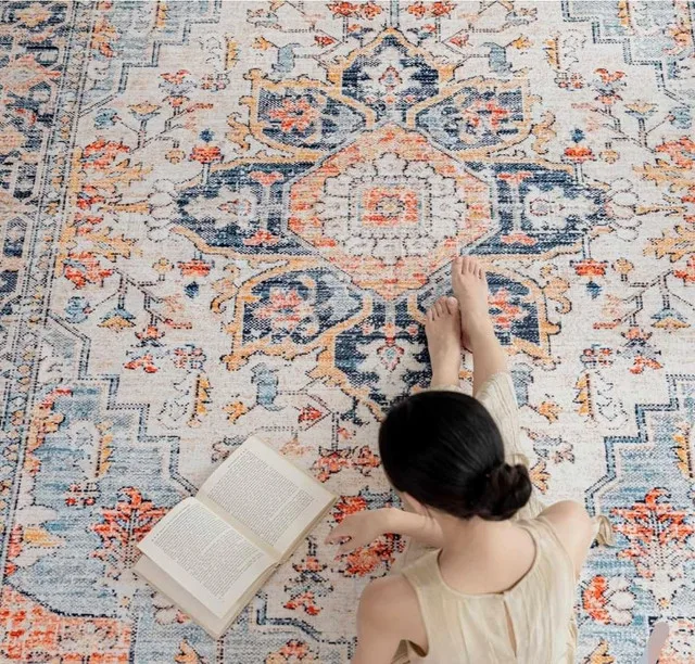 5x7 Area Rug Washable Rugs for Living Room Rug Vintage