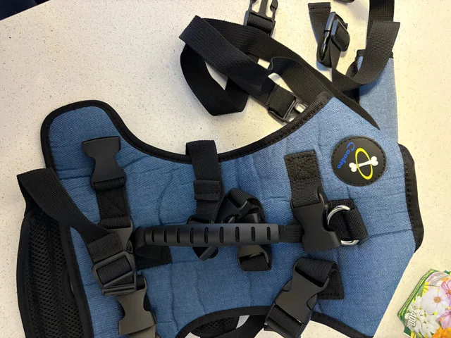 Coodeo Dog Lift Harness image indicator(2)