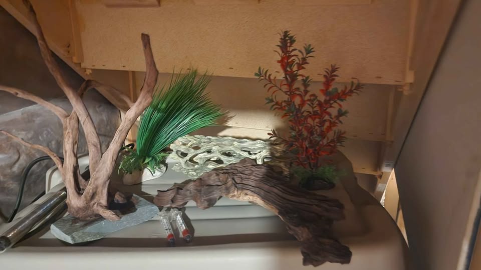 60 Gallon Fish Tank with stand - photo 3