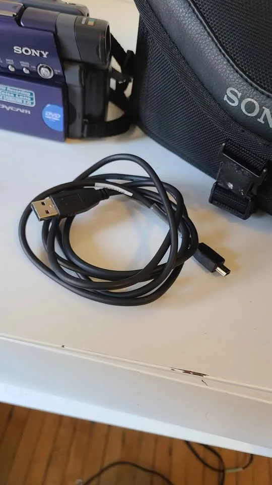 Sony Handycam DCR-DVD101E + Case, Remote & Discs image indicator(9)