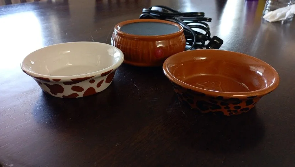 Dual Wax Warmer thumbnail