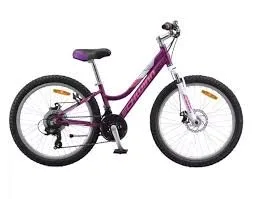 🚴‍♀️ Brand New Schwinn Girls’ Mountain Bike – Still in Box! 🚴‍♀️ image indicator(2)