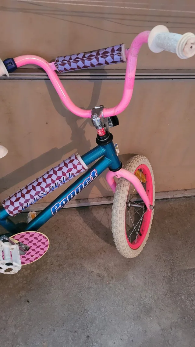 Bike for girls image indicator(2)