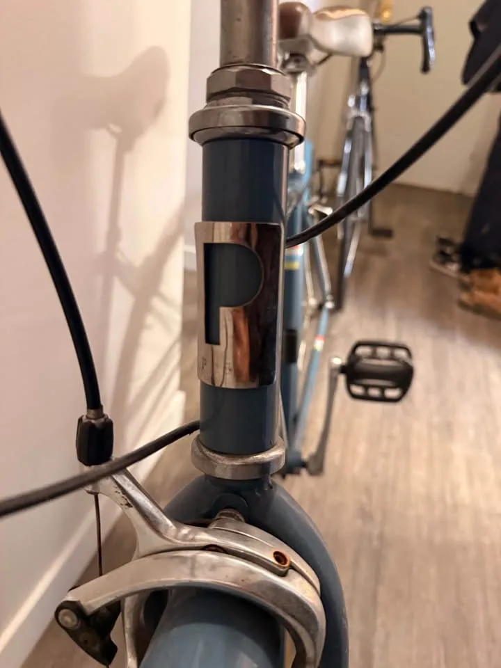 Women’s bike image indicator(2)