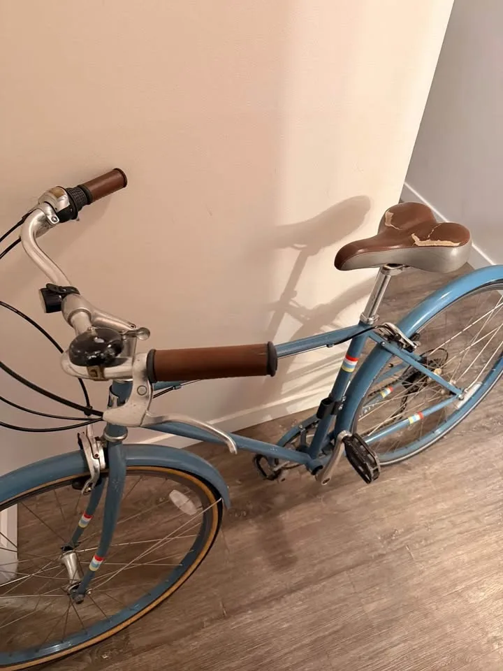 Women’s bike image indicator(3)