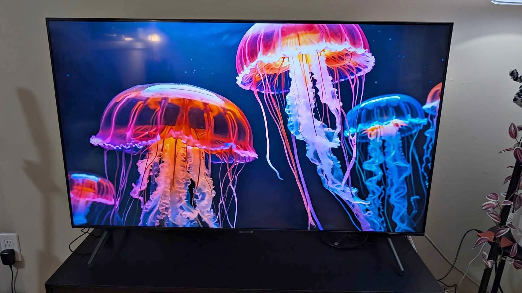 Samsung 50" Smart TV