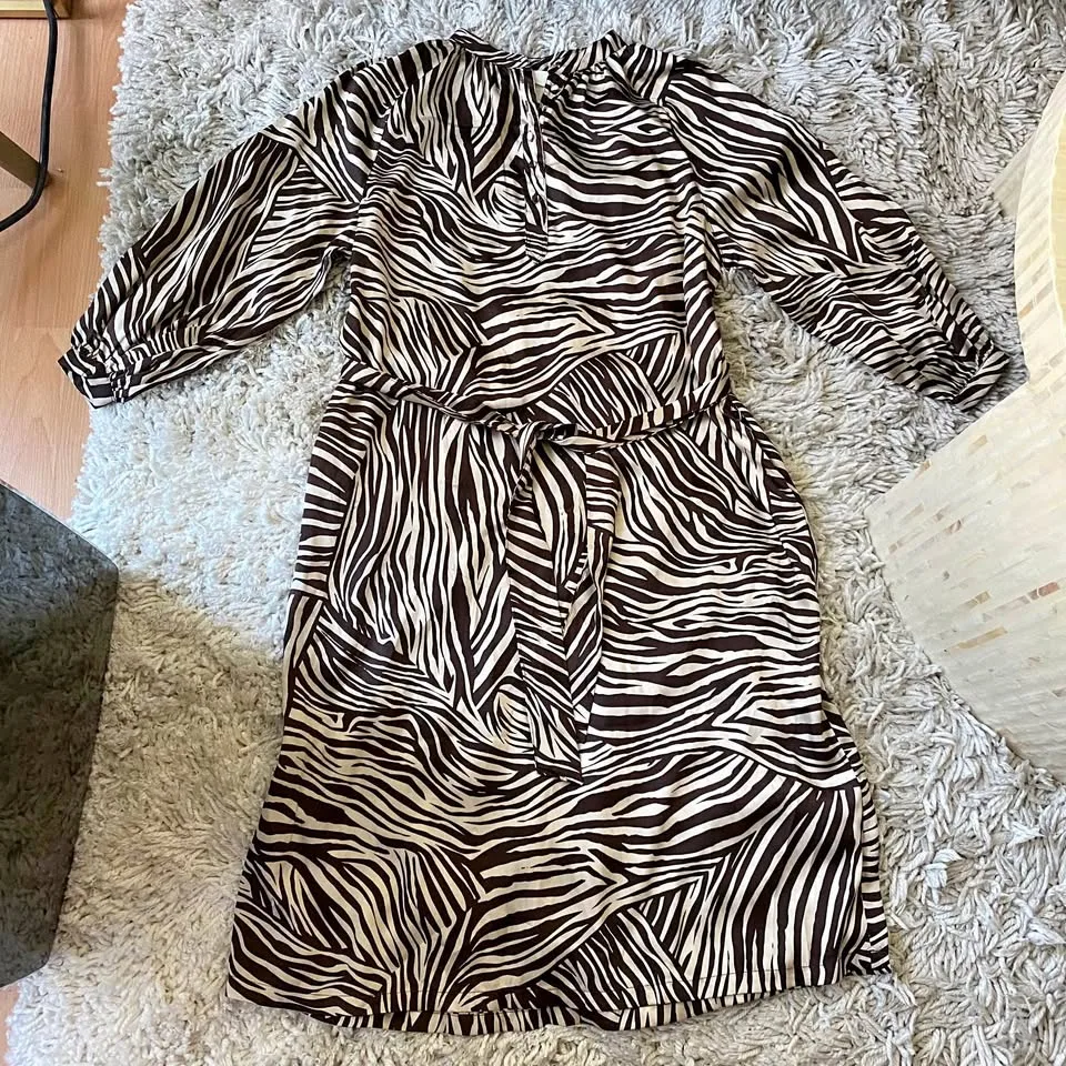 H&M Zebra Pattern Long Sleeve Dress thumbnail