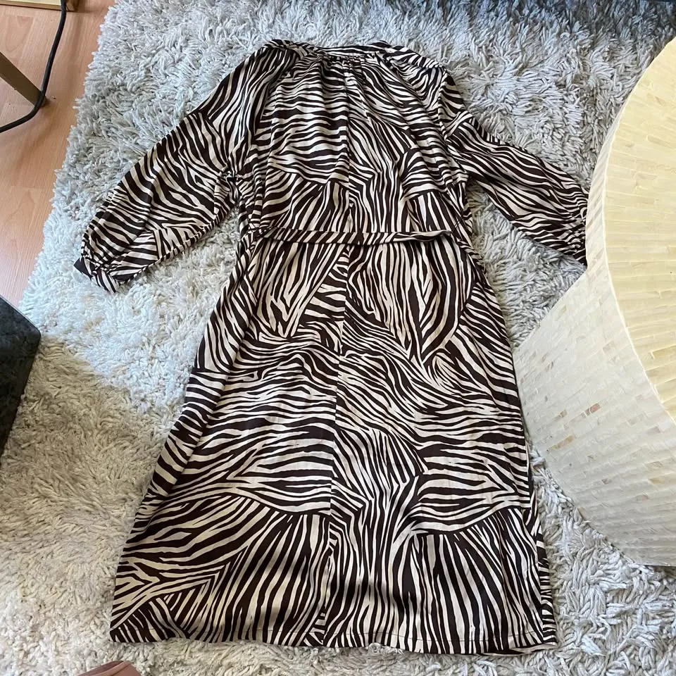H&M Zebra Pattern Long Sleeve Dress image indicator(3)
