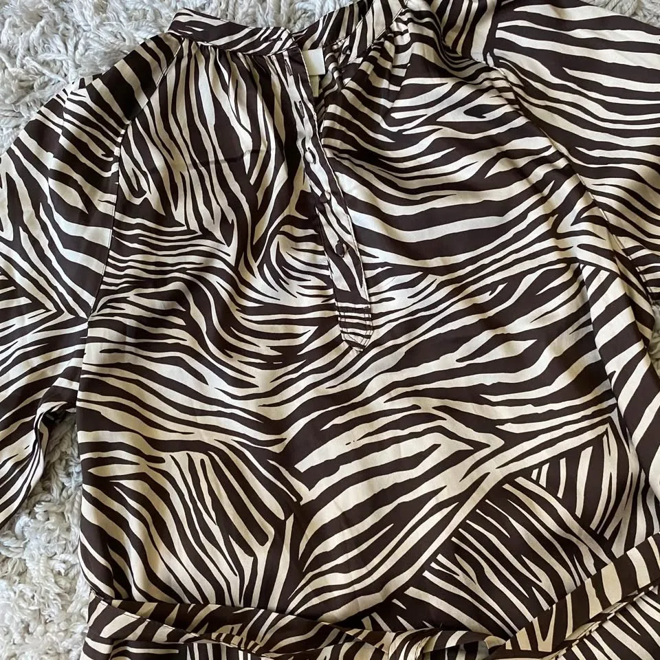 H&M Zebra Pattern Long Sleeve Dress image indicator(5)