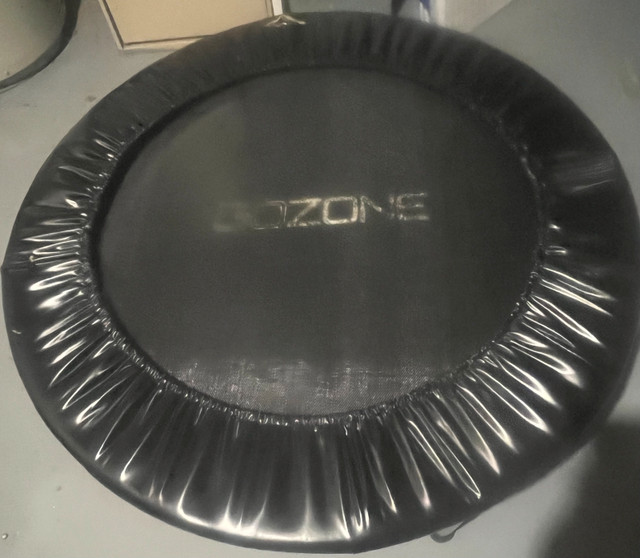 GoZone Mini Trampoline - photo 2