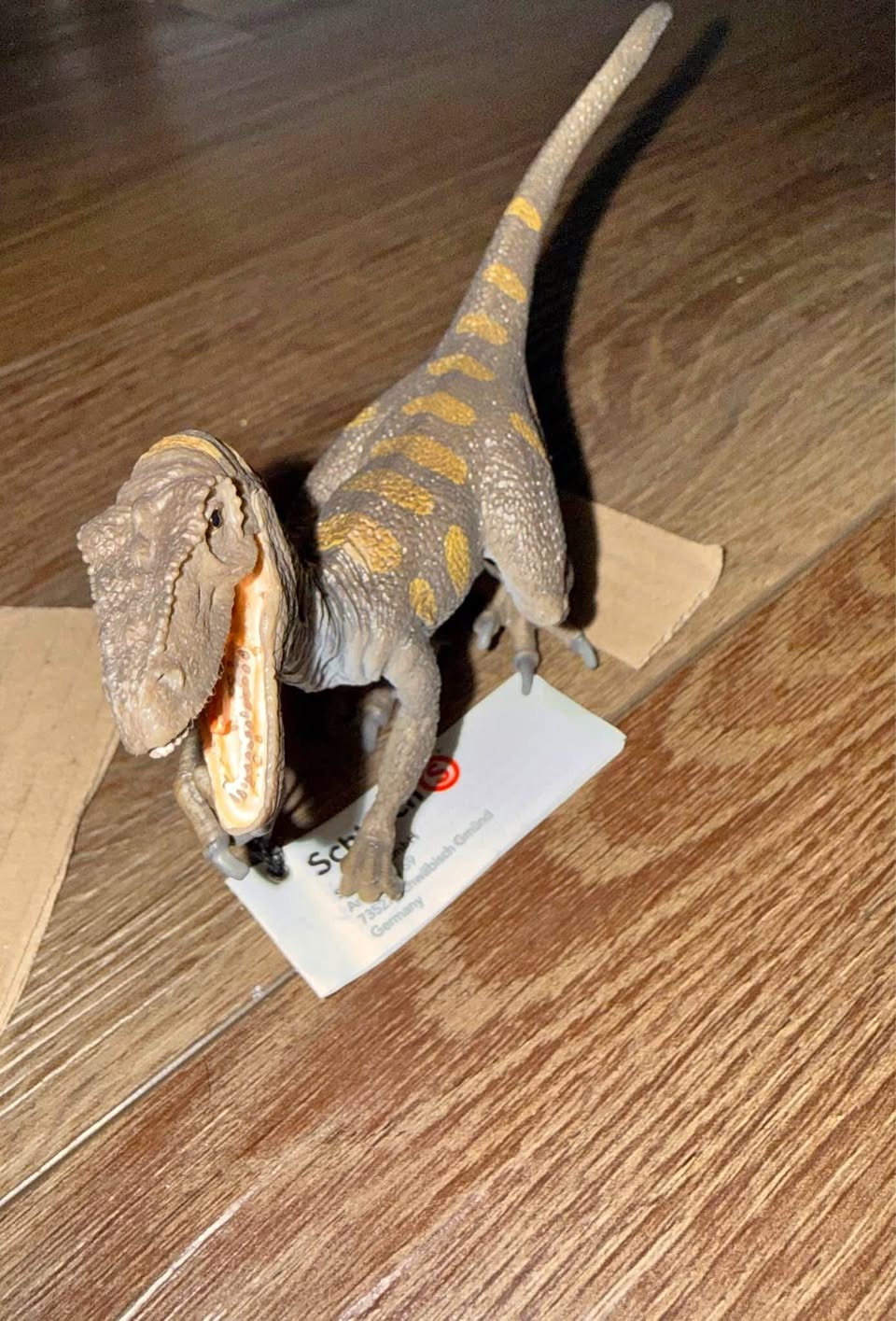 velociraptor, Dinosaur Schleich