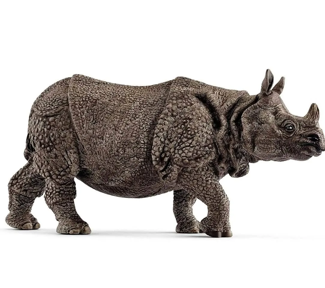 Indian Rhinoceros, Schliech thumbnail