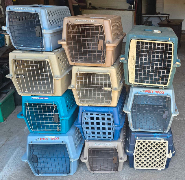 dog crate